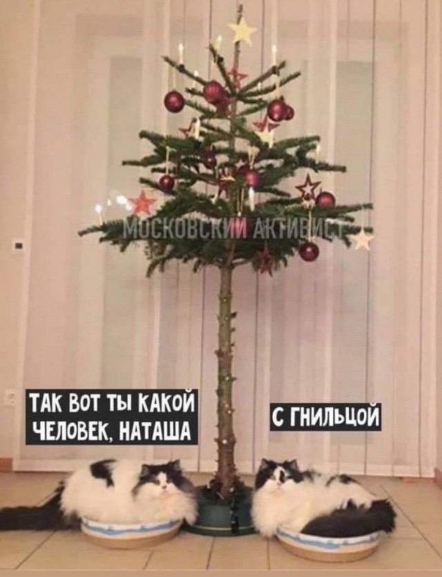 Как защитить елки от своих домашних питомцев