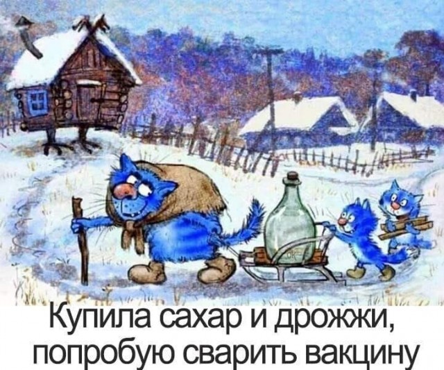 Пушистое сокровище: откуда на Руси взялись кошки и почему их так полюбили