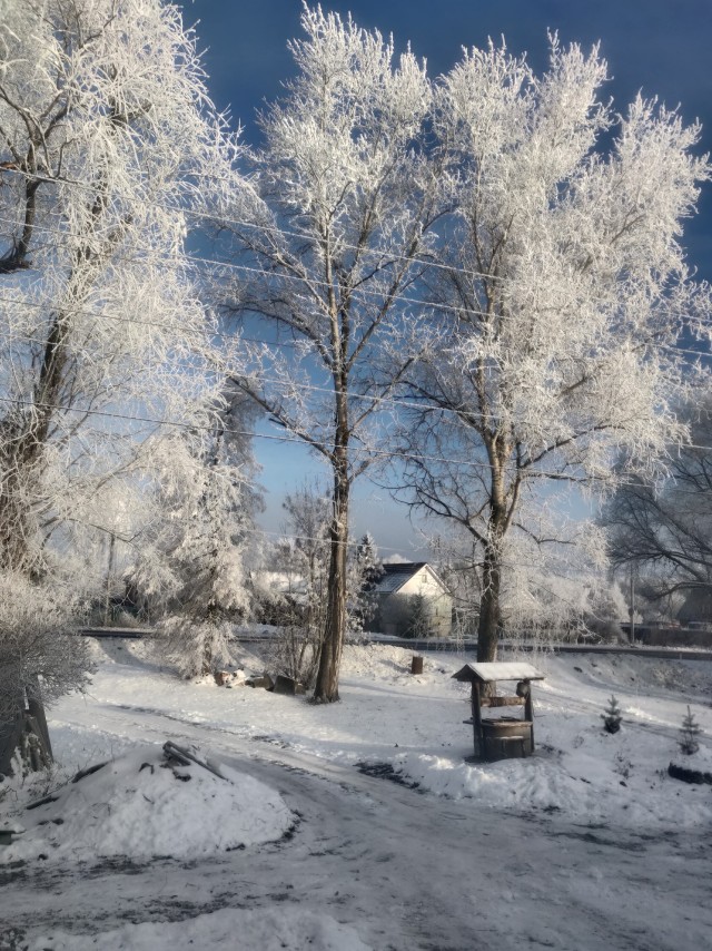 Ночью был сильный туман, его последствия утром