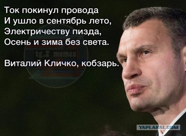 Как Европа смогла обойтись без российского газа?