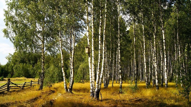 Картинки разные, возможны баяны