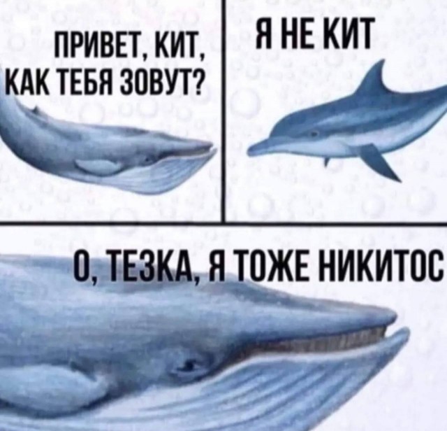 Так себе картинки 12.07.23
