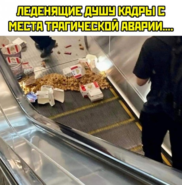 Весёлый полтишок 01.11.23