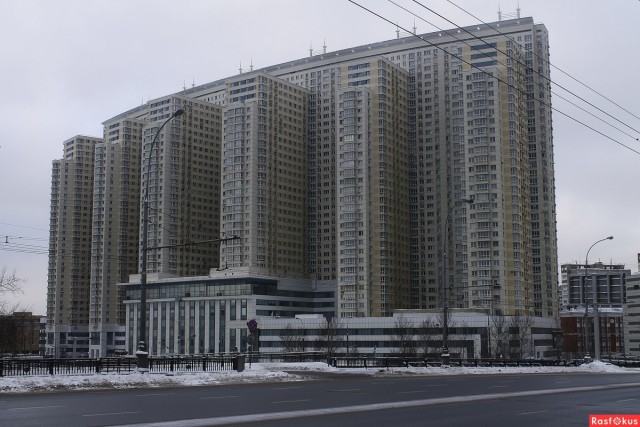 Я спросила у них, не мошенники ли они?