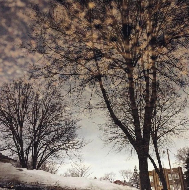 ФотоВинегрет