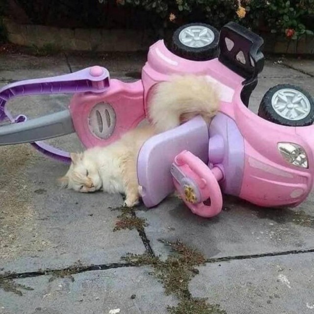 ФотоВинегрет