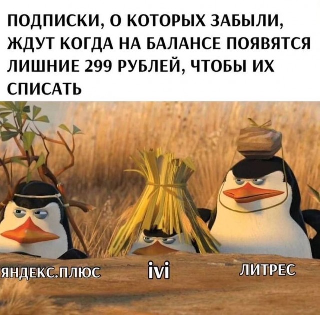 Немного картинок 13.06.24