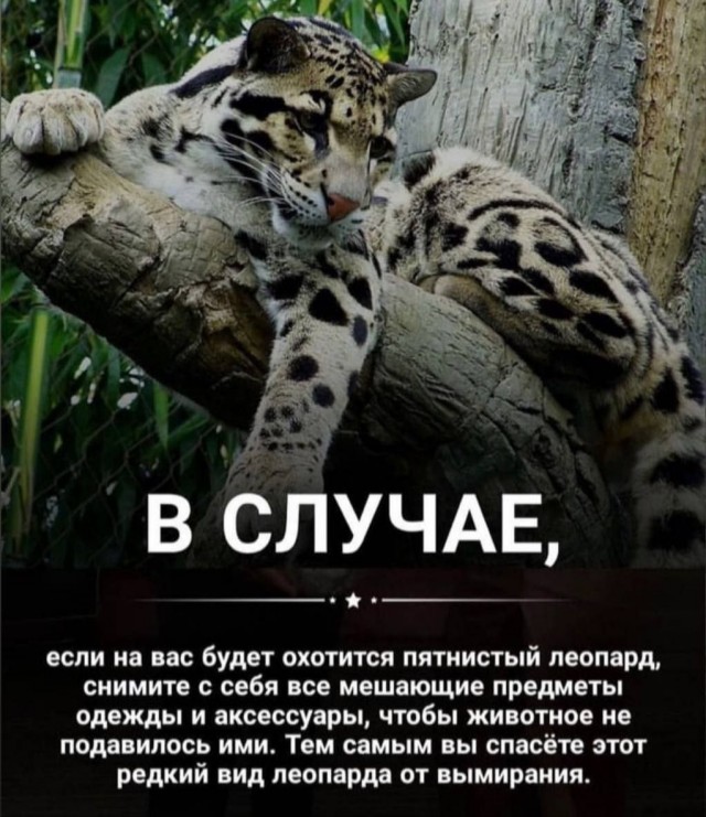 Сборник бабаянов или неожиданная помойка