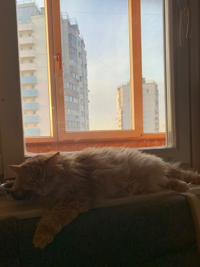 Коробочки наше фсё