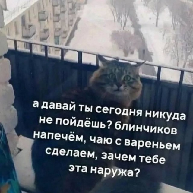 Посмеялся сам - поделись с другом!!!