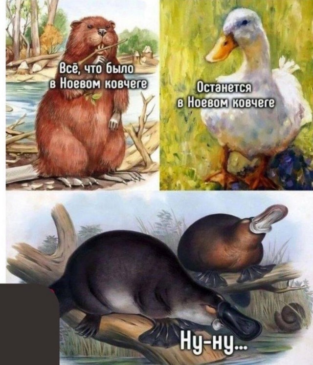 Картинки разные с надписями и без