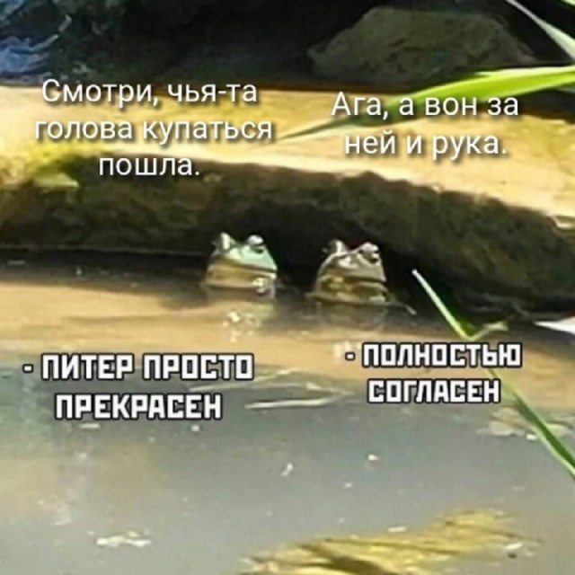 Так себе картинки 21.05.25