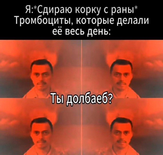 Сеня, дичь!