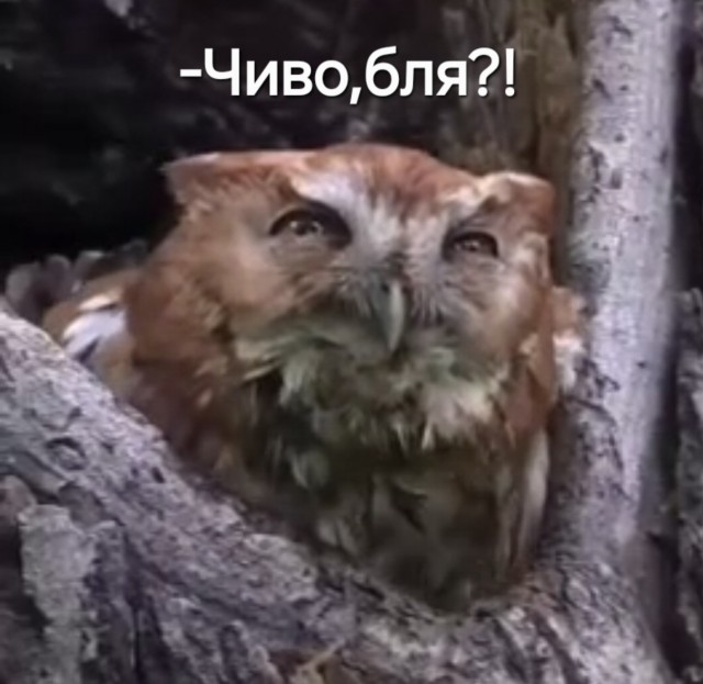 Подозрительно, сегодня глобус никто не предлагает