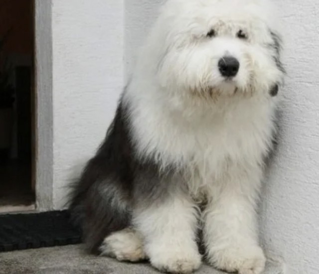 Вот и погостил у бабушки