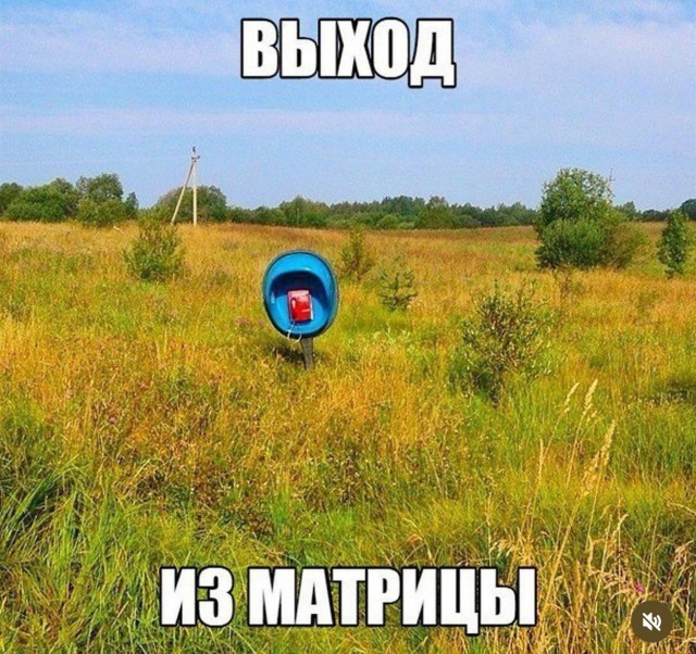 Картинки для деградации 49 (разной степени свежести)