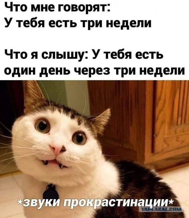 Картинки для деградации 97 (разной степени свежести)