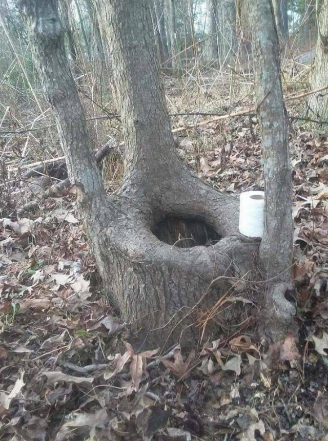 Бессистемные картинки