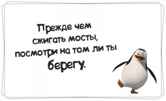 Среды картинки