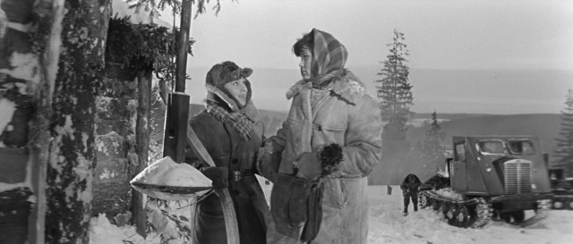 КрАЗ или не КрАЗ?