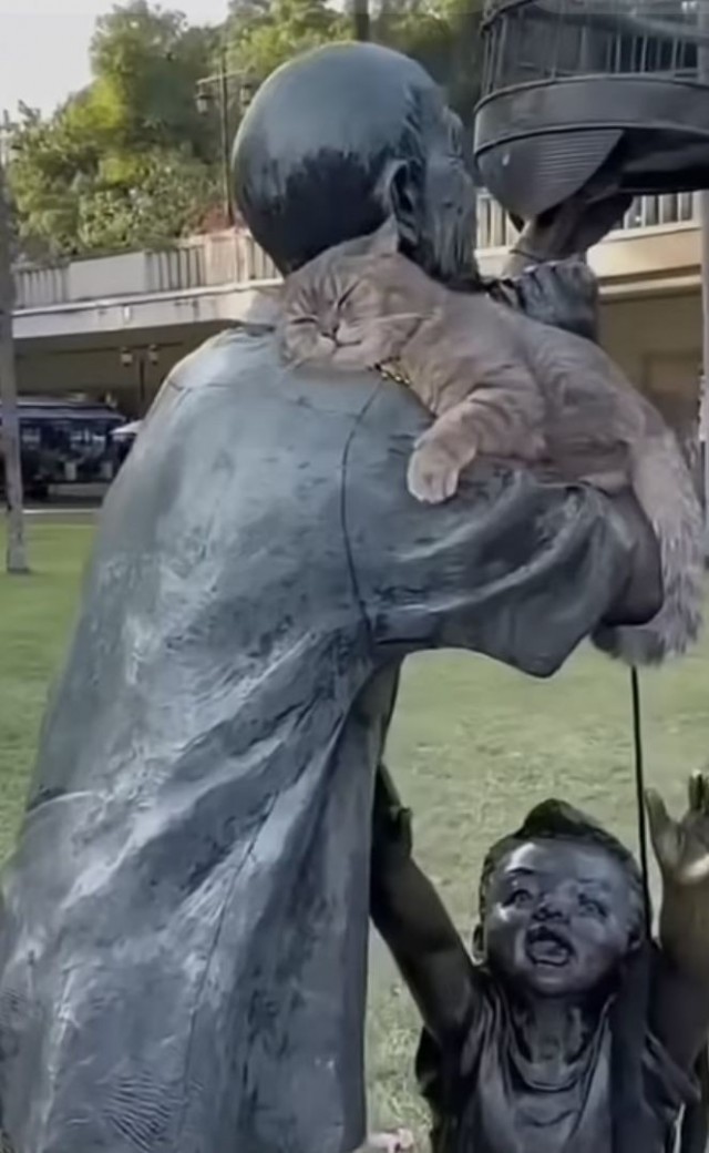 Возлюби кота ближнего своего