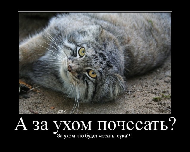 Уделите нам внимание