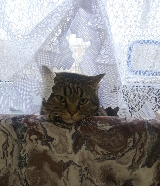 Немного ферфтяных лапушек в ленту
