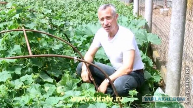 Упс...