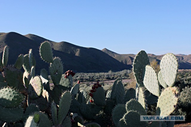 Новогодняя ночь в пустыне Сахара