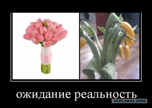 Ожидания VS Реальность