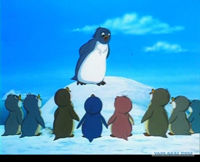 Чем пингвины похожи на хомячков?