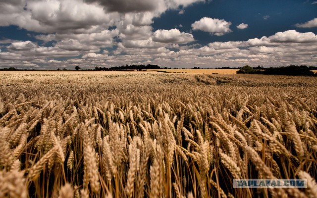 Никто не хочет стоять рядом с Путиным