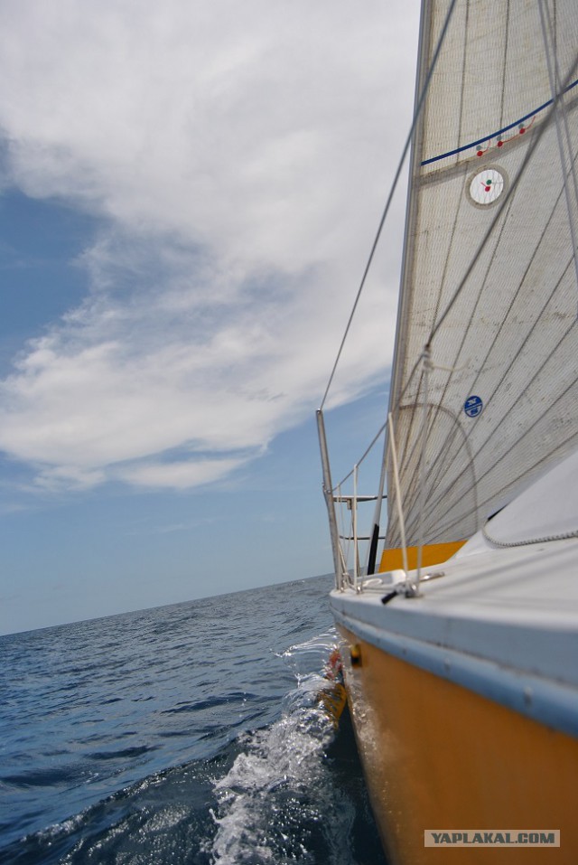 Каникулы во Флориде