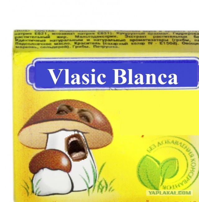 Бланка Власич