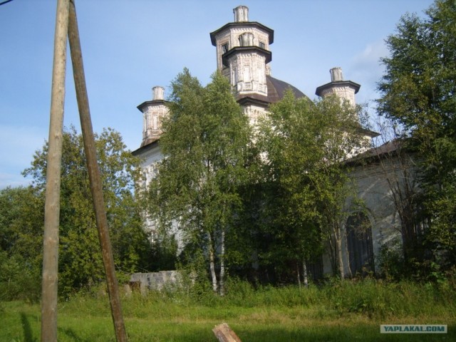 Наше все за МКАДом