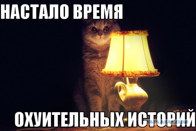 Откуда взялся кот с лампой?