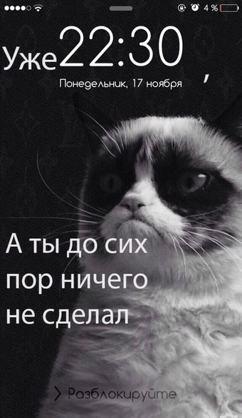 Когда находишь идеальную заставку для телефона