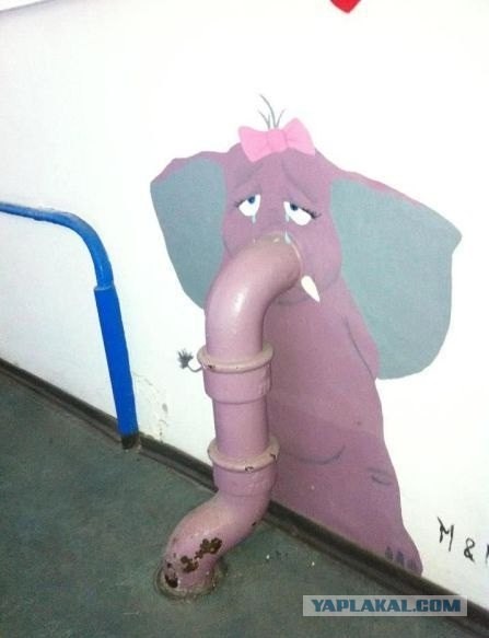 Жалко слоника...