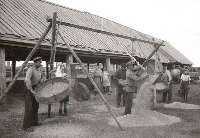 Наша история. Колхоз "Путь Ленина" 1946 год