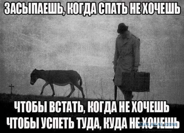 Юмор с черным оттенком из СоциальныхСетей