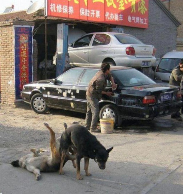 Ужасы и приколы из соцсетей 18+