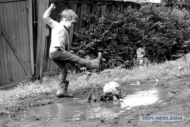 Вот оно какое наше лето!
