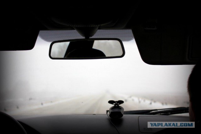 Сельскохозяйственный эксперимент ч. 5