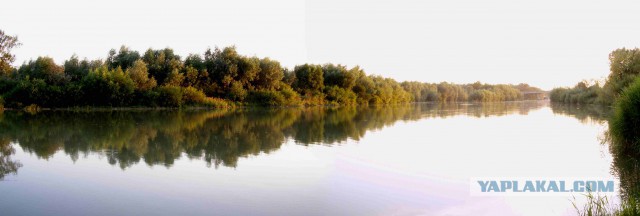 Подборка "тёплых, уютных, домашних" фотографий. Часть 5