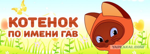 Котенок, который всегда хотел быть собакой