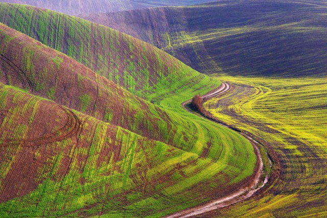 Винегрет фоток на пятницу...