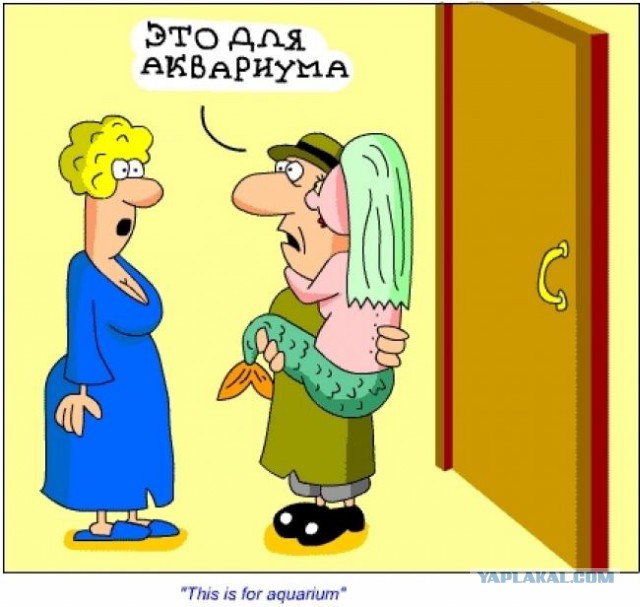 "Жаркие" субботние девчонки. 48+
