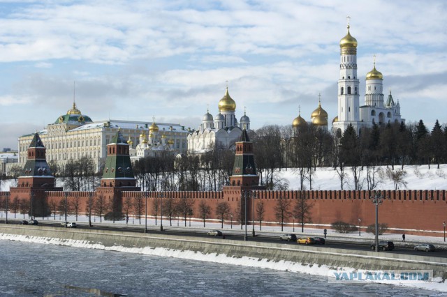 Моменты, запечатлённые на фото и просто позитив 5