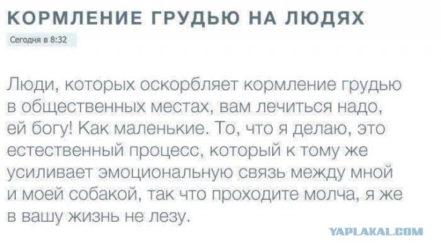 А как вы относитесь к грудному вскармливанию на людях?