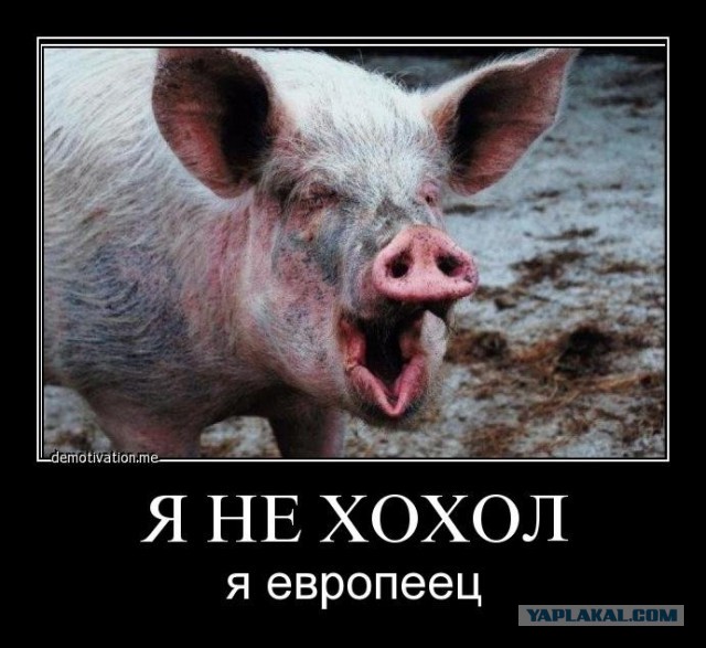А что, правда на Украине безумие?